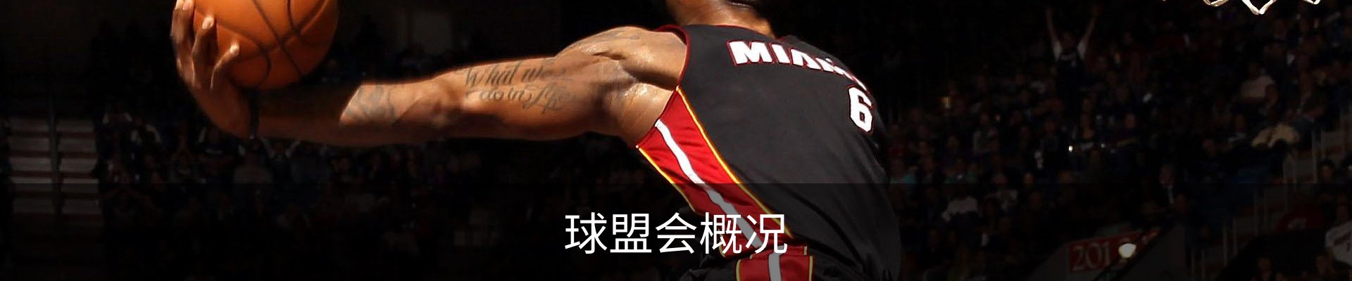 球盟会概况